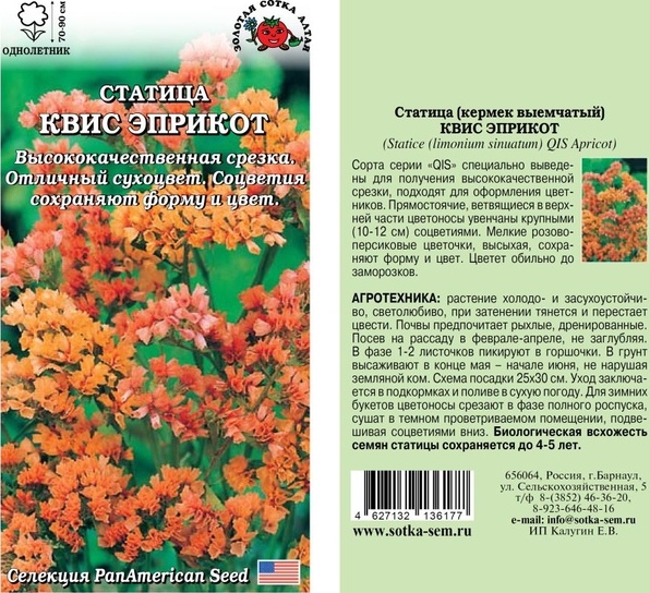 Статица (лимониум)_Квис Эприкот_10_шт._Золотая Сотка Алтая