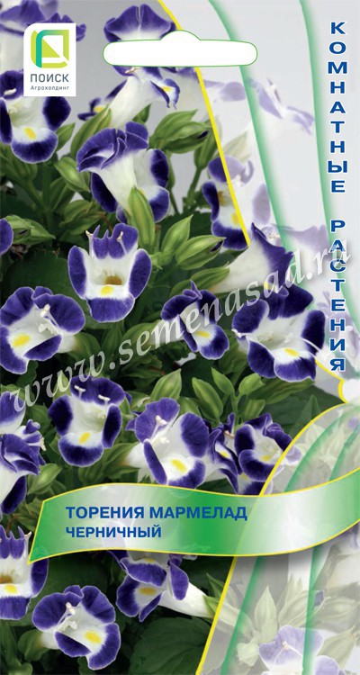 Торения_Мармелад Черничный_5_шт._Поиск