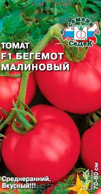 Томат_Бегемот Малиновый_0,04_г._Седек