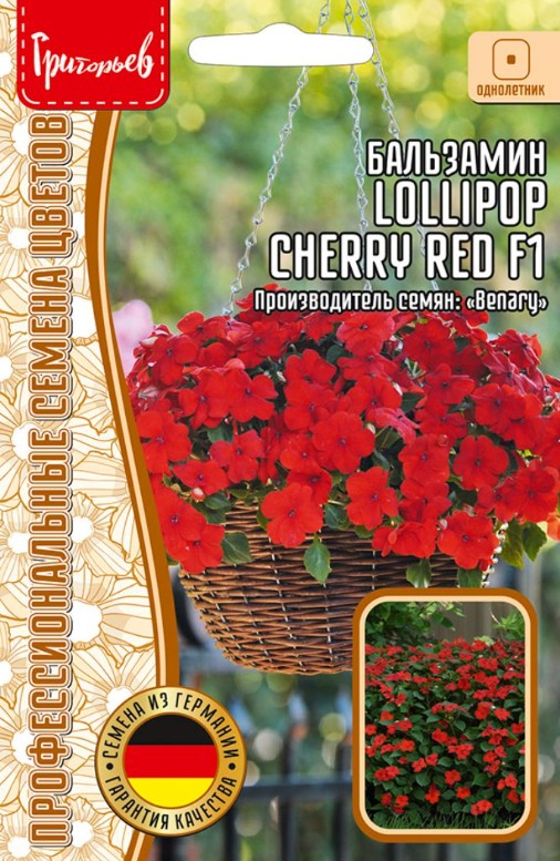 Бальзамин_Lollipop F1 Cherry red б/ф_5_шт._Григорьев