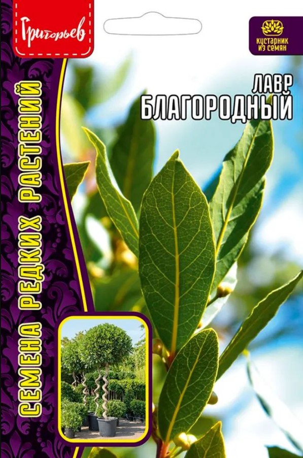 Лавр_Благородный б/ф_2_шт._Григорьев