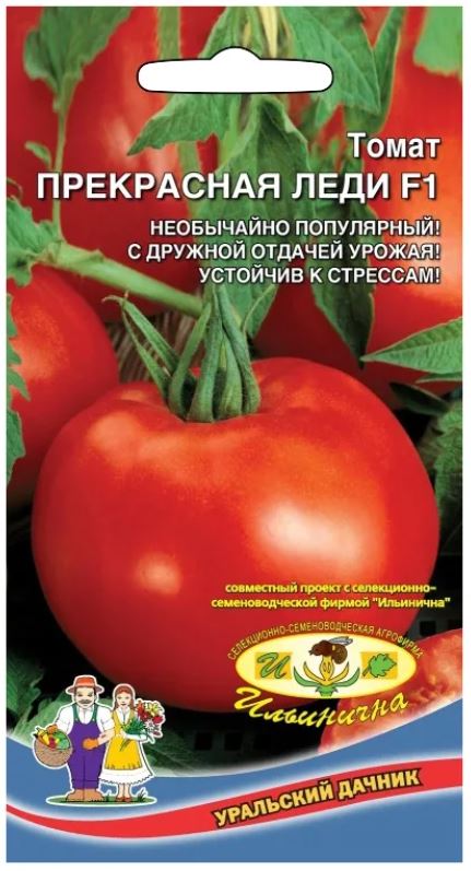 Томат_Прекрасная Леди F1_12_шт._Уральский Дачник
