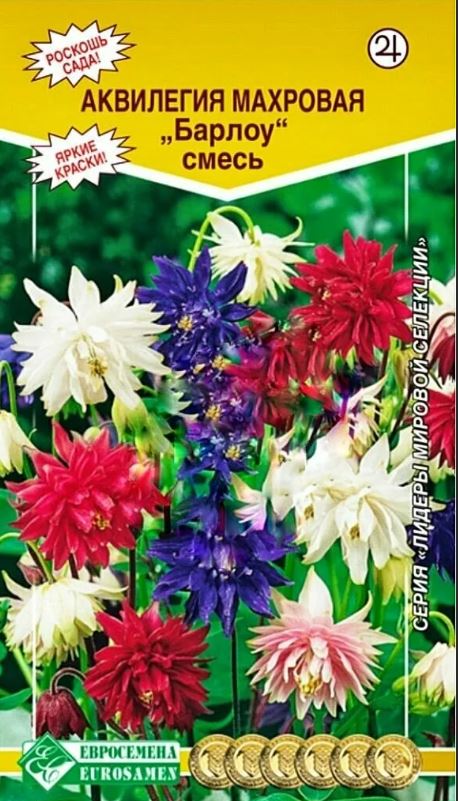 Аквилегия (водосбор)_Барлоу см (махровая) (Лидеры мировой селекции)_20_шт._Евросемена