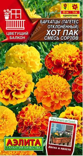 Бархатцы (тагетис)_Хот Пак см (Цветущий балкон) (PanAmerican)_5_шт._Аэлита