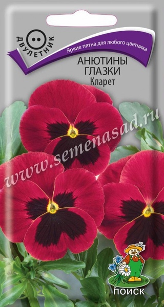 Виола (анютины глазки)_Кларет_0,2_г._Поиск