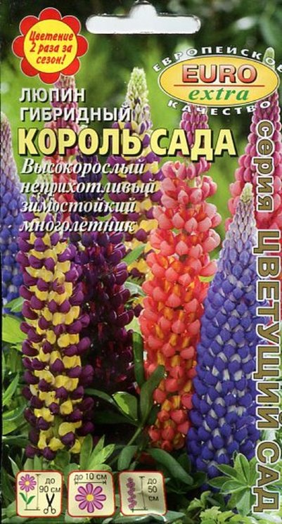 Люпин_Король сада гибридный см_0,6_г._Аэлита Э