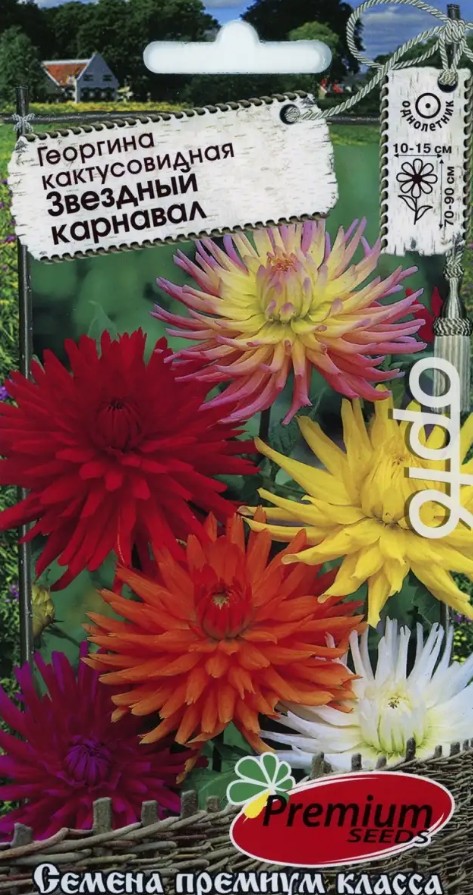 Георгин_Звездный карнавал Кактусовидная см_0,1_г._Премиум Сидс