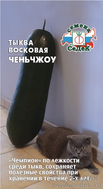 Тыква_Восковая Ченьчжоу F1_8_шт._Седек