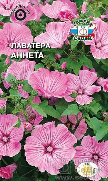 Лаватера (хатьма)_Аннета (карминно-розовая, с темными прожилками)_0,3_г._Седек