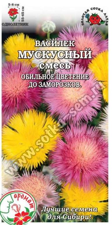 Василек_Мускусный см_0,04_г._Золотая Сотка Алтая