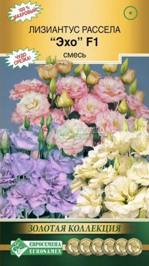 Эустома (Лизиантус)_Эхо F1 см (махр) (Золотая Коллекция)_5_шт._ЕВРОСЕМЕНА