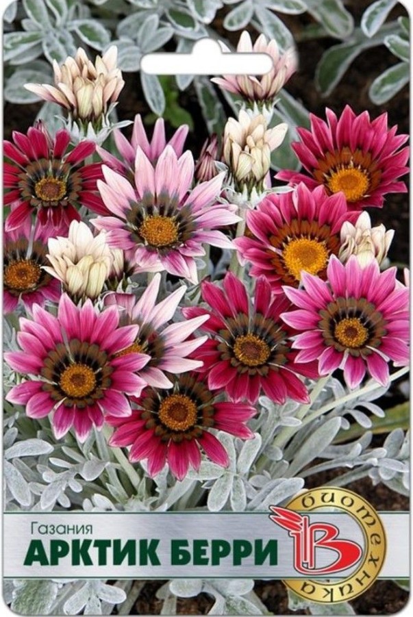 Гацания_Арктик Берри_7_шт._Биотехника