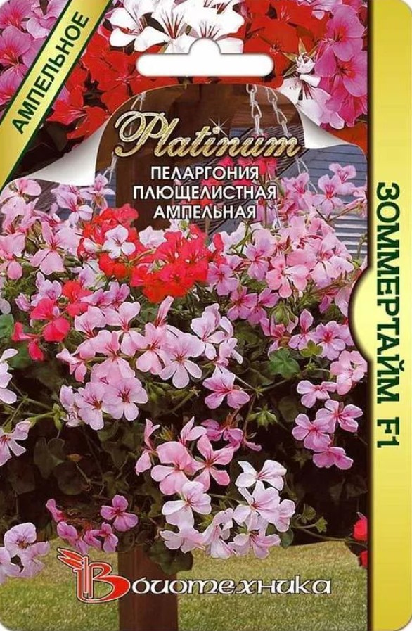 Герань (Пеларгония)_Зоммертайм F1 (амп плющелистная)_5_шт._Биотехника