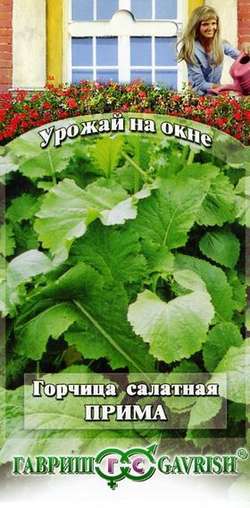 Горчица_Прима (Урожай на окне)_1_г._Гавриш