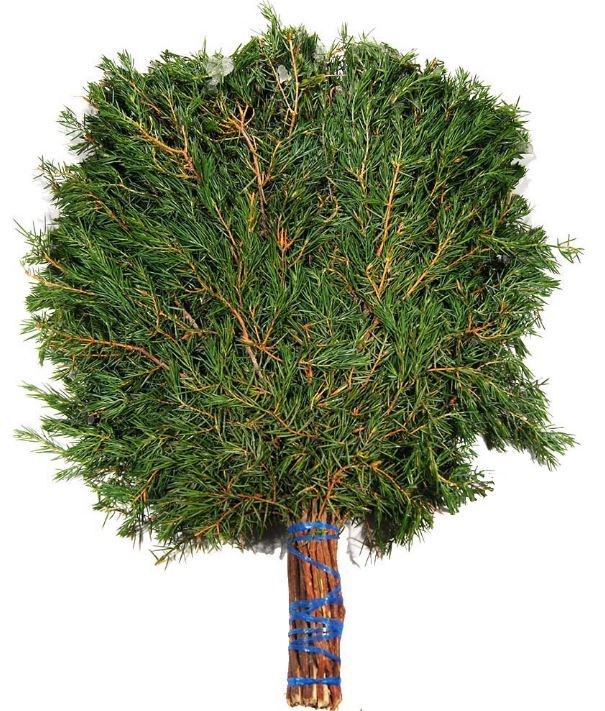 Веник МОЖЖЕВЕЛЬНИК ПРЕМИУМ