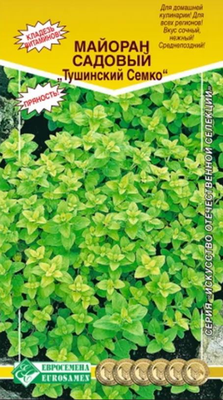 Майоран_Тушинский Семко (Искусство отечественной селекции)_0,04_г._ЕВРОСЕМЕНА