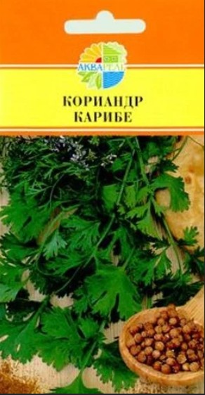 Кориандр (кинза)_Карибе_2_г._Акварель