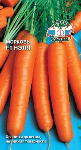 Морковь_Нэля F1_1_г._Седек