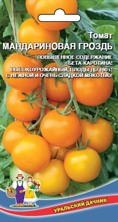 Томат_Мандариновая гроздь_20_шт._Уральский Дачник