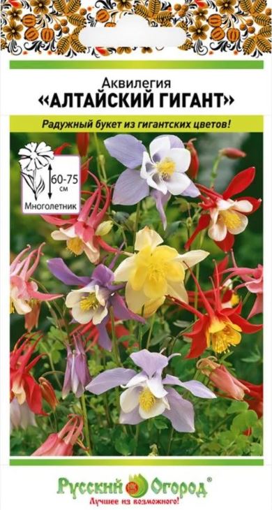 Аквилегия (водосбор)_Алтайский Гигант см_0,04_г._НК