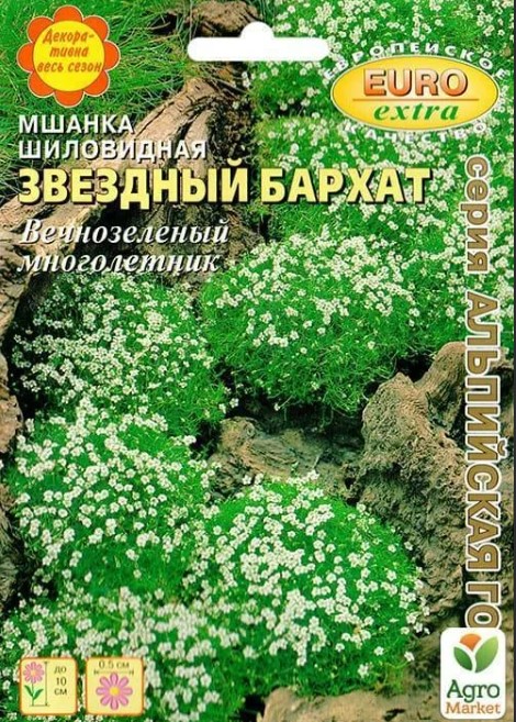 Мшанка_Звездный бархат_0_г._Аэлита Э