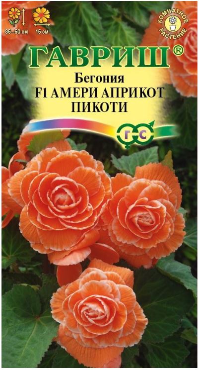 Бегония_Амери Априкот Пикоти F1 (клубн)_4_шт._Гавриш