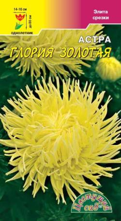Астра_Глория золотая (хризантемовидная)_0,2_г._Цветущий Сад