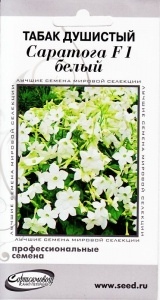 Табак душистый_Саратога белый/// (profi)_15_шт._Дом Семян С-П