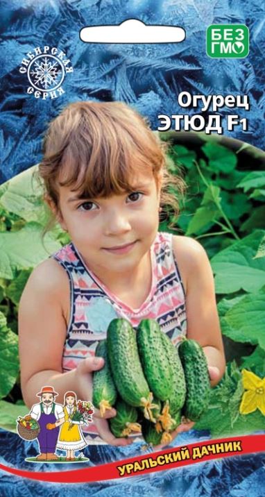 Огурец_Этюд F1_0,04_шт._Уральский Дачник