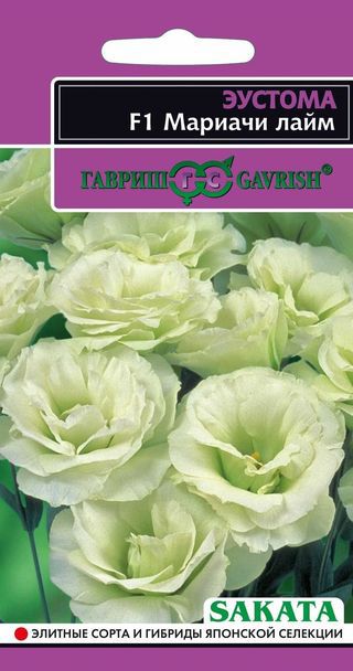 Эустома (Лизиантус)_Мариачи F1 Лайм (махр)_5_шт._Гавриш