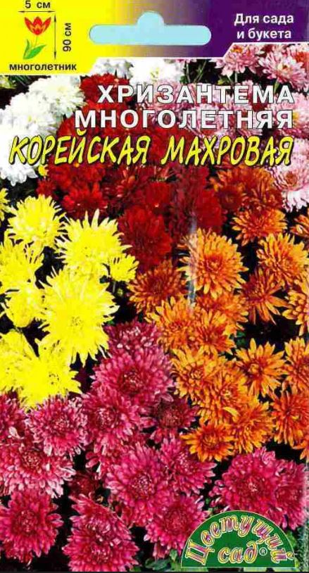 Хризантема_Корейская махр см_0,04_г._Цветущий Сад