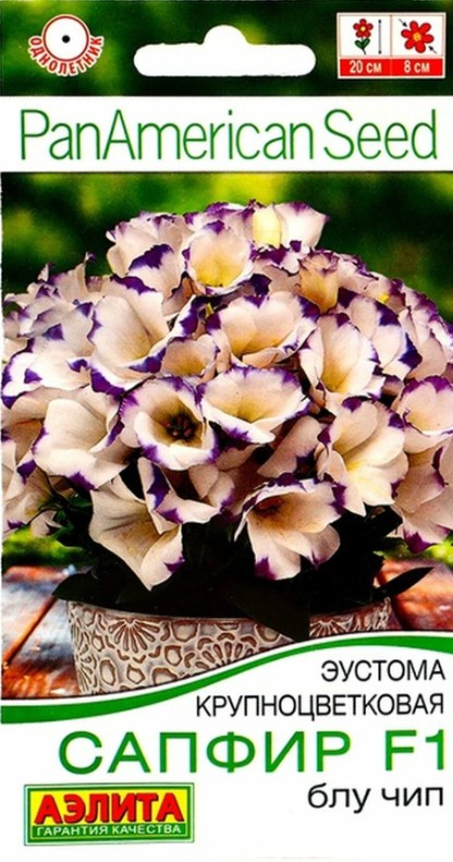 Эустома (Лизиантус)_Сапфир Блу Чип (Америка)_5_шт._Аэлита