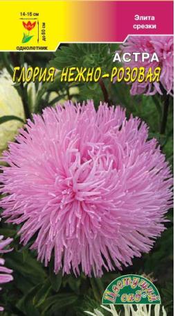 Астра_Глория нежно-розовая (хризантемовидная)_0,2_г._Цветущий Сад