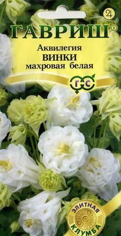 Аквилегия (водосбор)_Винки белая_5_шт._Гавриш