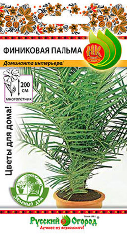 Пальма_Финиковая_5_шт._НК