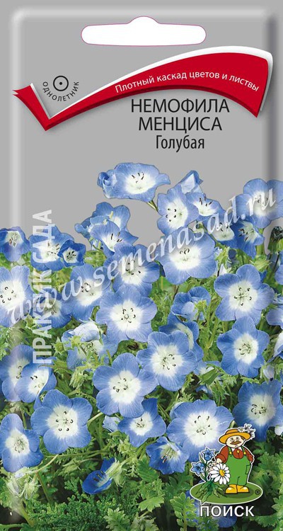 Немофила_Голубая_0,1_г._Поиск