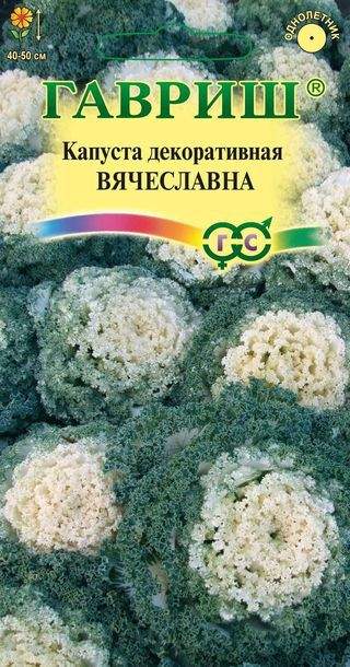 Капуста_декоративная_Вячеславна_0,1_г._Гавриш
