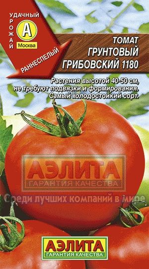 Томат_Грунтовый Грибовский 1180_0,2_г._Аэлита