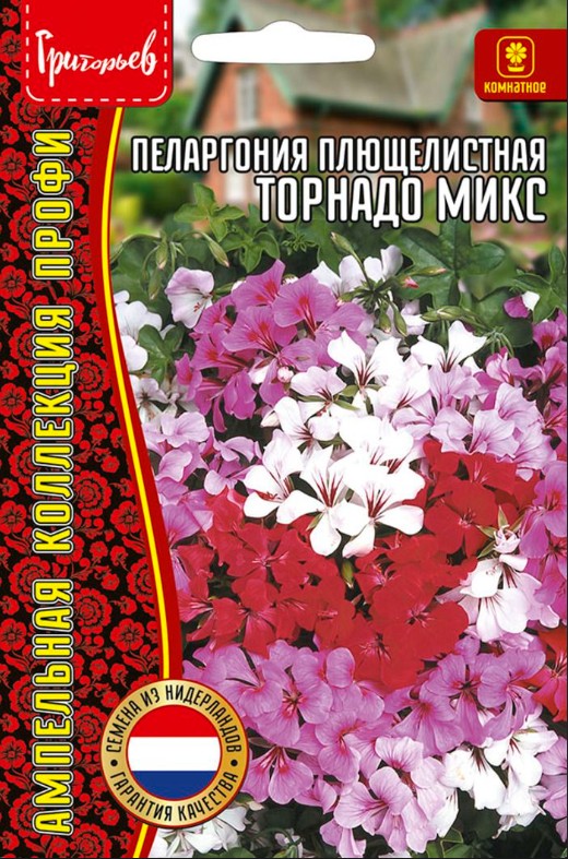 Герань (Пеларгония)_Торнадо Микс (плющелистная) б/ф_3_шт._Григорьев