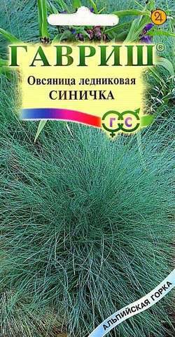 Овсяница_Синичка (злак)_0,1_г._Гавриш