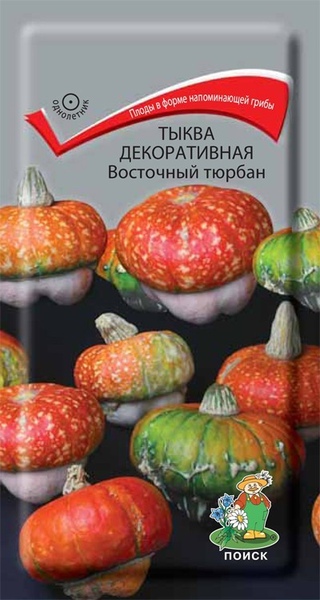 Тыква декоративная_Восточный тюрбан_5_шт._Поиск
