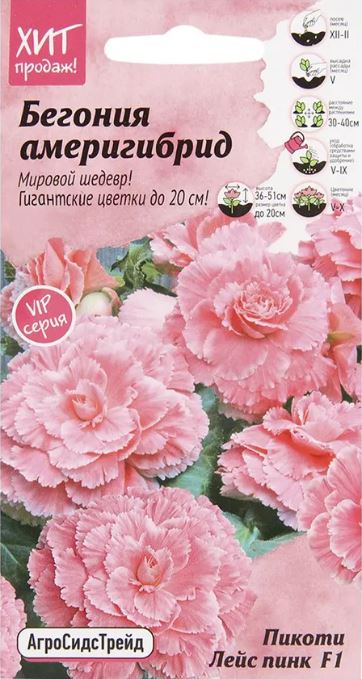 Бегония_Америгибрид F1 Пикоти Лейс Пинк (клубн)_5_шт._АгроСидсТрейд