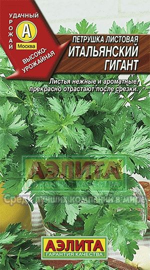 Петрушка_Итальянский гигант (листовая)_2_г._Аэлита