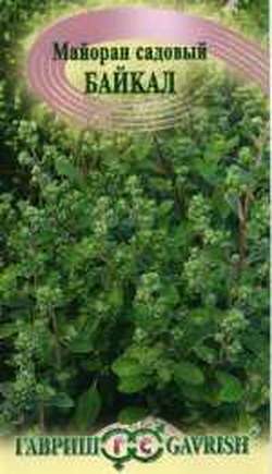 Майоран_Байкал садовый_0,1_г._Гавриш