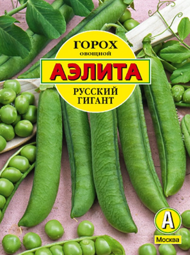 Горох русский гигант