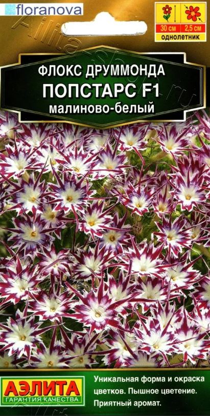 Флокс_Попстарс F1 Малиново-Белый (Floranova Золотая серия)_0,04_шт._Аэлита