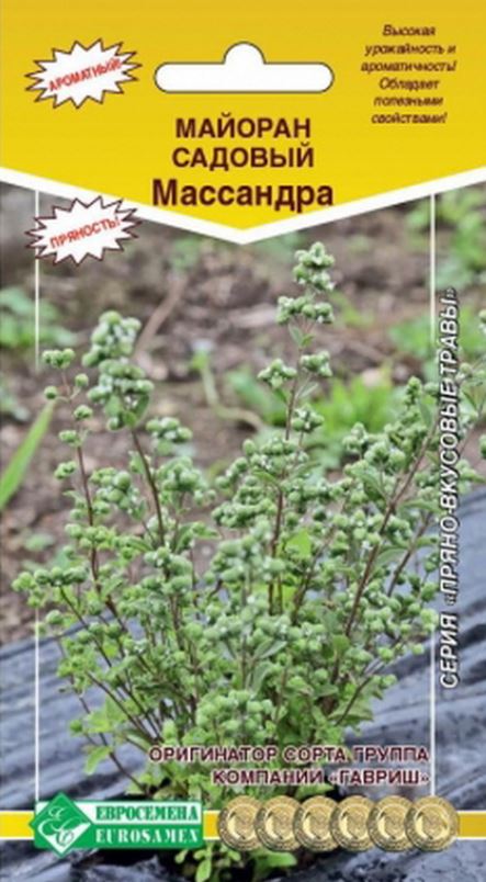 Майоран_Массандра (Урожайная Грядка)_0,04_г._ЕВРОСЕМЕНА