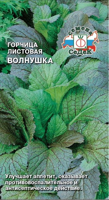 Горчица_Волнушка_1_г._Седек