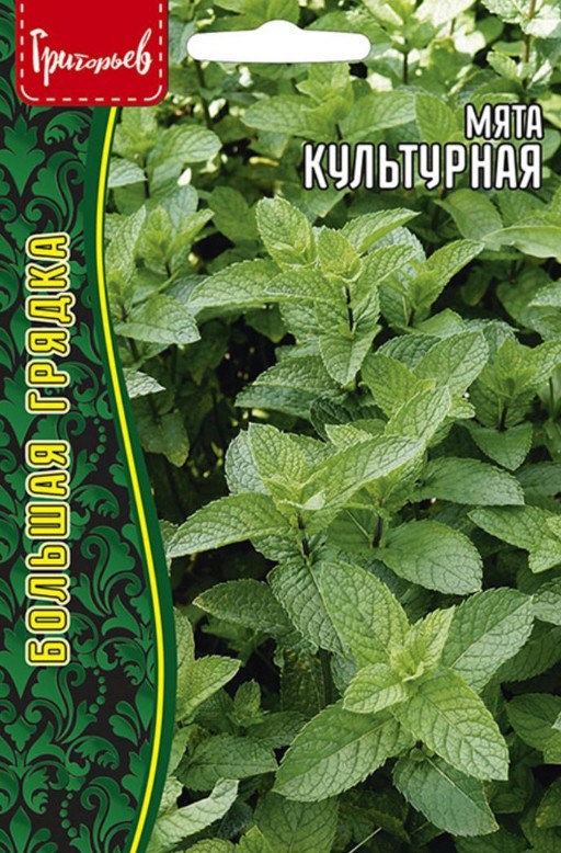 Мята_Культурная б/ф_0,05_г._Григорьев