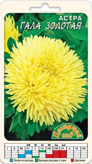 Астра_Гала Бургунди_0,1_г._Цветущий Сад